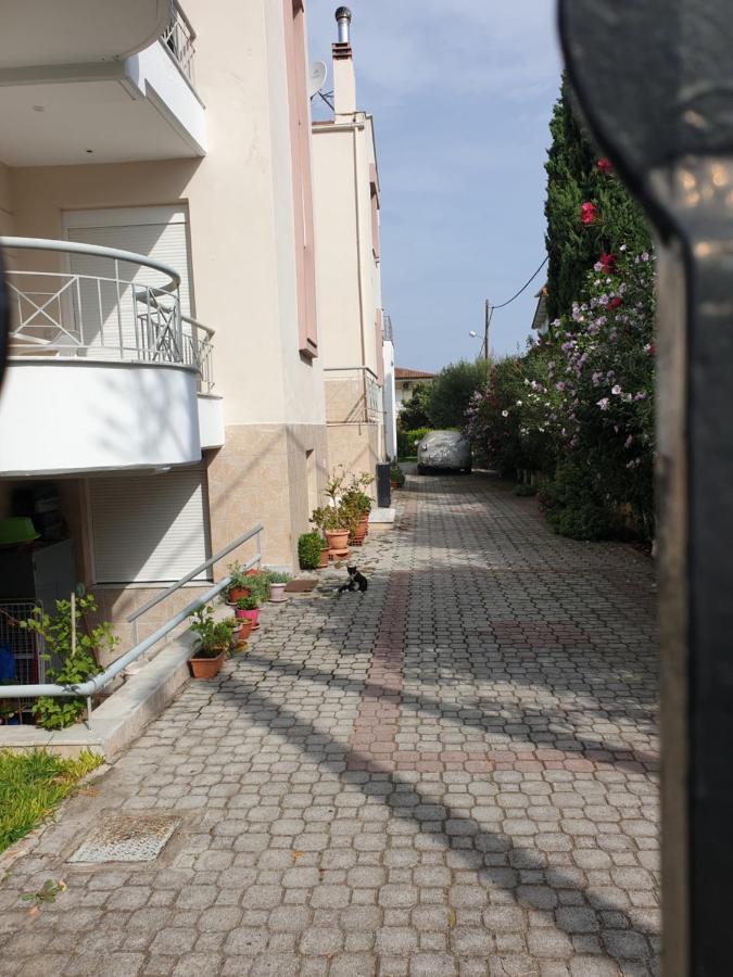 Appartamento Iliana House Néoi Epivátai Esterno foto